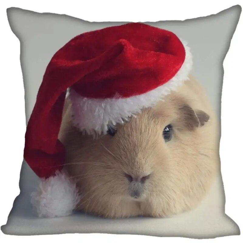 Living Room Pillowcase Guinea Pig   Modern Home