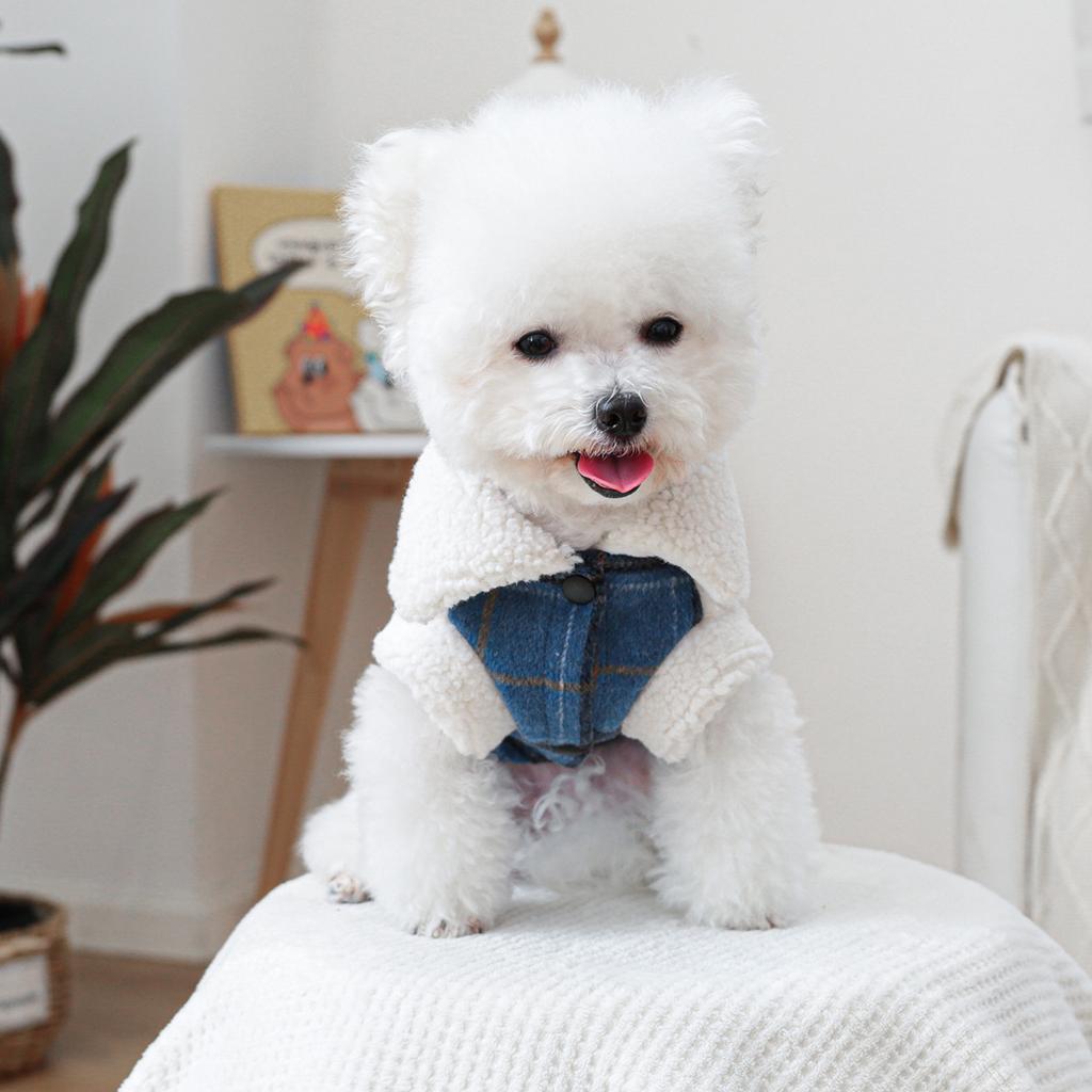 Pet Circle, Pet Clothing Dog Cat Clothing Clothing Warm British Checkered Jacket