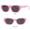 Cat Eye Irregular Frame Sunglasses Women Men New Fashion Luxury  Sun Shade Glasses Outdoor Travel Beach Eyewear UV400