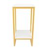 2 Tiers Flower Stand 60cm Sturdy Iron Frame Multifunctional Easy Assembly Flower Pot Shelf for