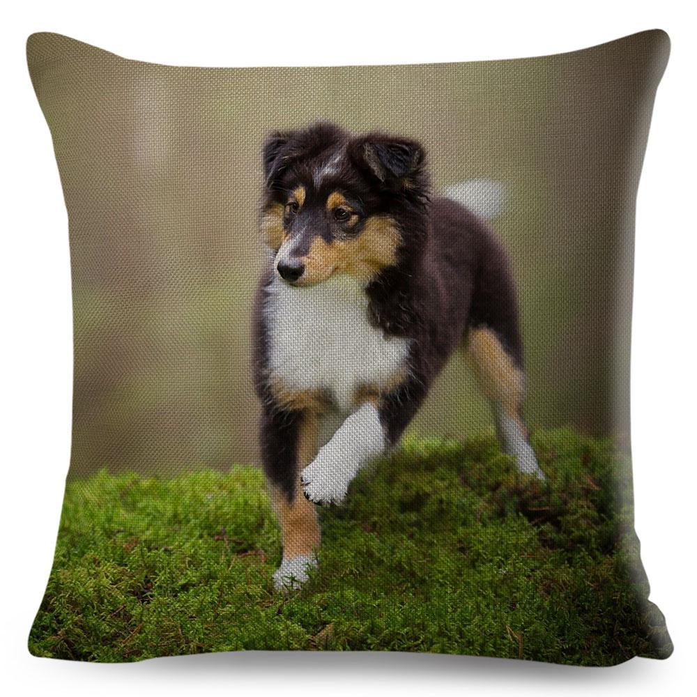 Shetland Sheepdog Cute Pet Animal Dog Printed Pillowcase Decor Cushion Cover for Sofa Home Car Polyester Pillow Case 45*45cm
