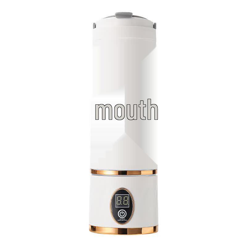ZISIZ Portable Multifunction Juicer