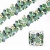 1 Roll Eucalyptus Border Bulletin Board, 5m Bulletin Board Border for Classroom Bulletin Wall Decor
