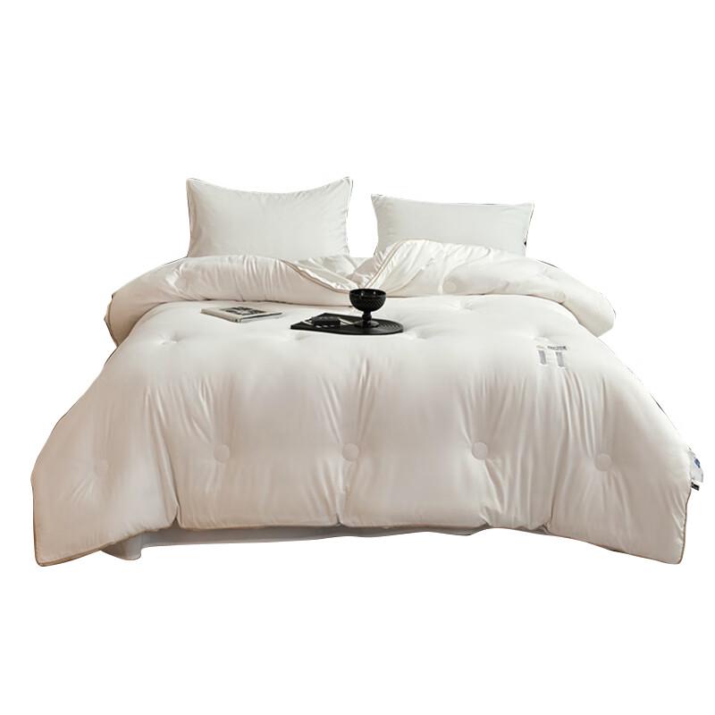 Chansi All-Season Soybean & Polyester Blend Quilt