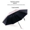 Paradise Umbrella Playful Cat UV-Protection Folding Umbrella