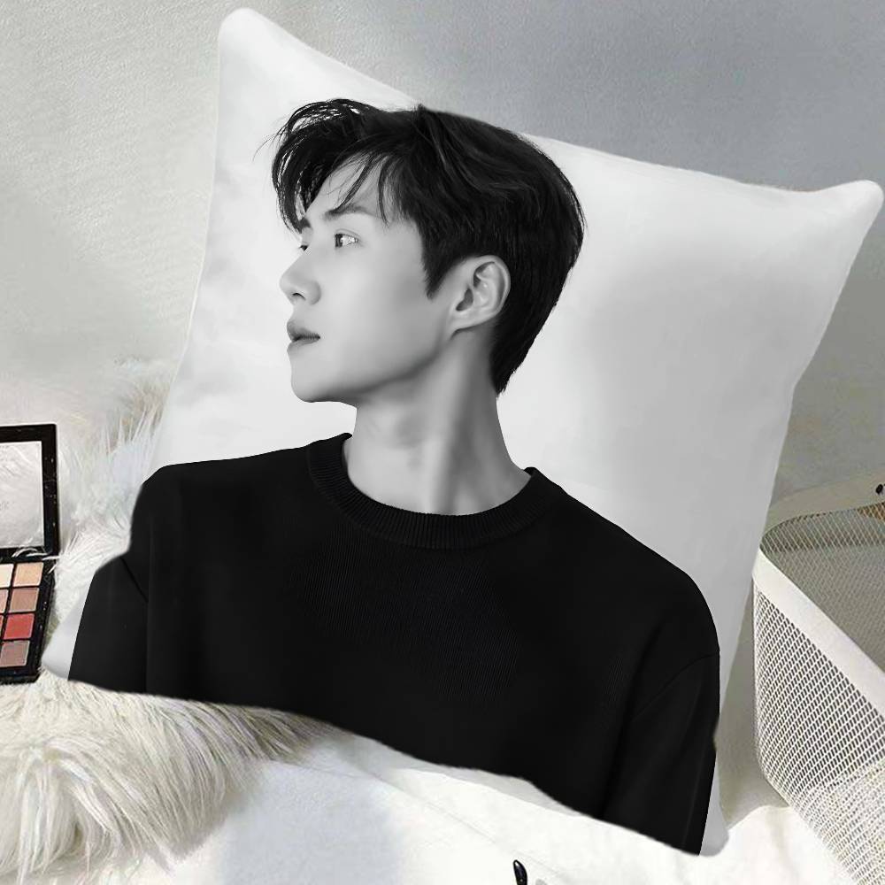 Kim Seonho Pillow Case Square Pillow Bedroom Sofa Leisure Comfort Cushion Car Home Decoration