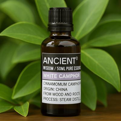 White Camphor Essential Oil 50ml Steam Distilled