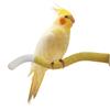 2er-Pack Papageien Sitzstangen Krallen Schleifen Flexibler Haustier Vogel Sitzstock für Nymphensittiche, Kakadus, Loris, Aras