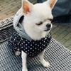 Winter Warm Dog Clothes for Dogs Pet Dog Thick Coat Polka Dot Puppy Pet Vest Jacket Waterproof Dog Clothing Chihuahua French Bulldog Hoodies Outfit