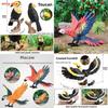 Wilde Dier Model Massief Plastic Papegaai Vogel Display Figuur Voor Kinder Speelkamer Decor