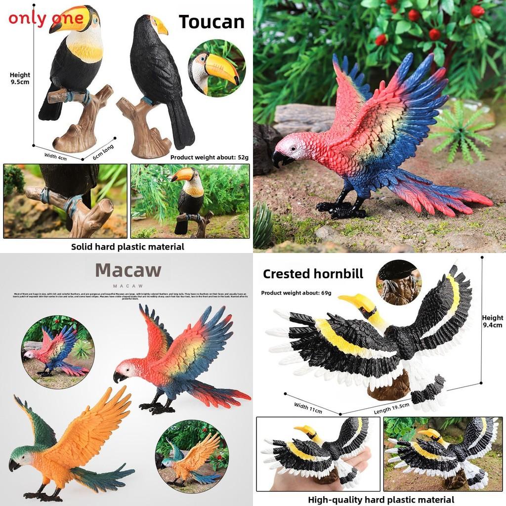 Wilde Dier Model Massief Plastic Papegaai Vogel Display Figuur Voor Kinder Speelkamer Decor
