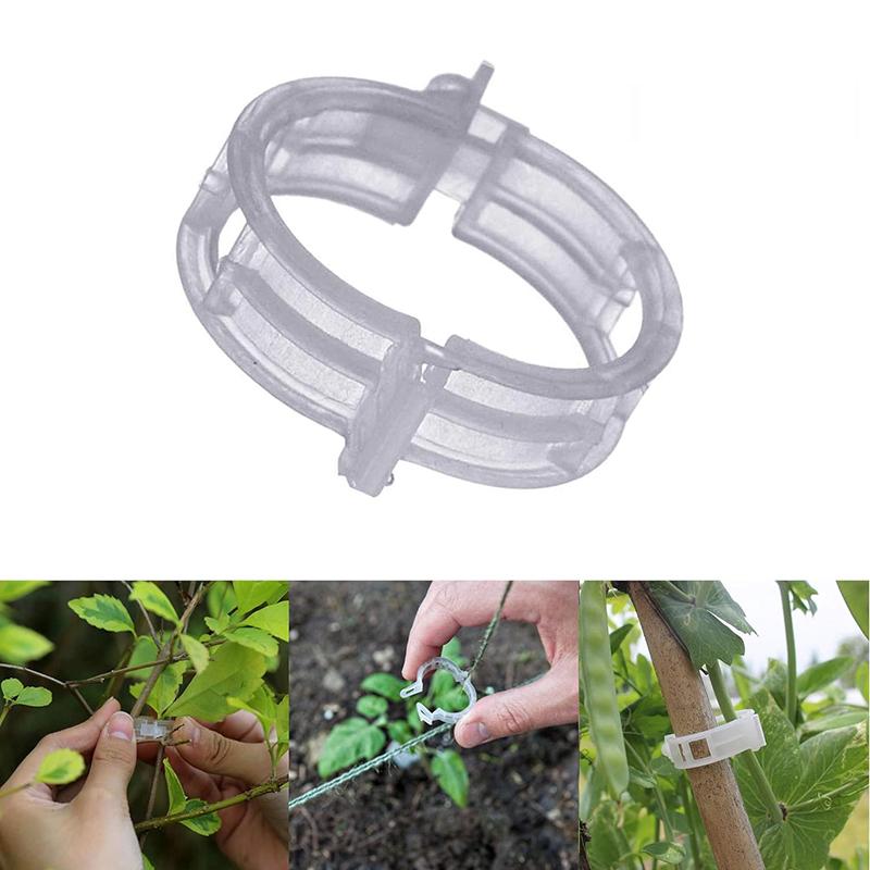 100 Pcs Plastic Plant Clips For Climbing Plants Clear Plant Fixing Clip Tomato Trellis Clips Plant Support Clips Vine Fixing Clip