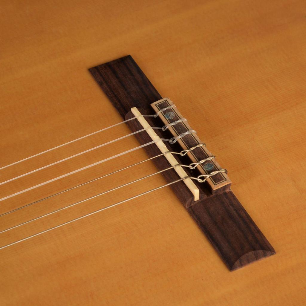 39-Inch Beginner Classical Guitar with Spruce Solid Top for Men and Women