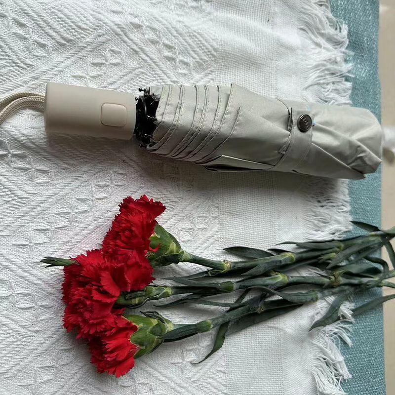 Qiuchao Premium All-Weather Folding Umbrella