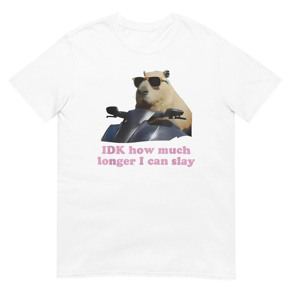 Women Unisex Funny Capybara Meme Graphic Tee IDK How Much Longer I Can Slay T Shirt Streetwear Cotton