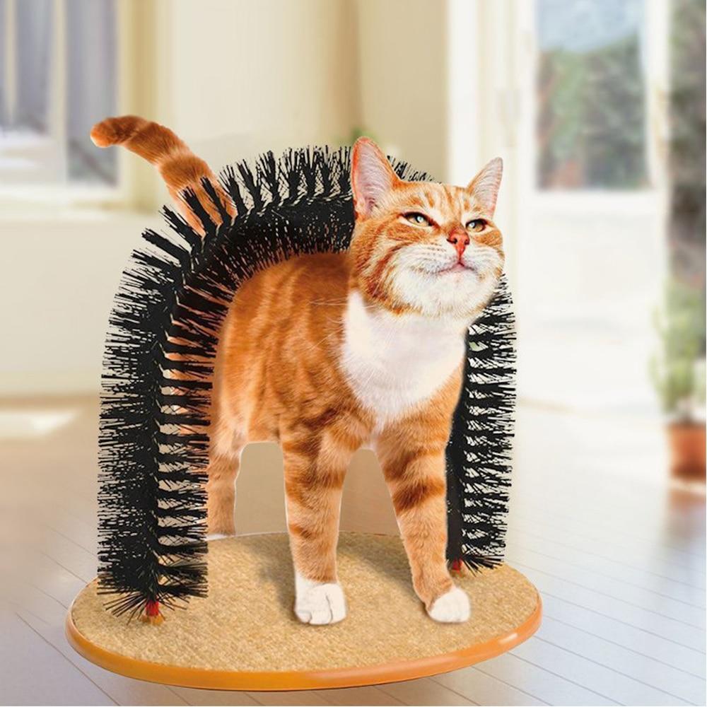 cat brush arch