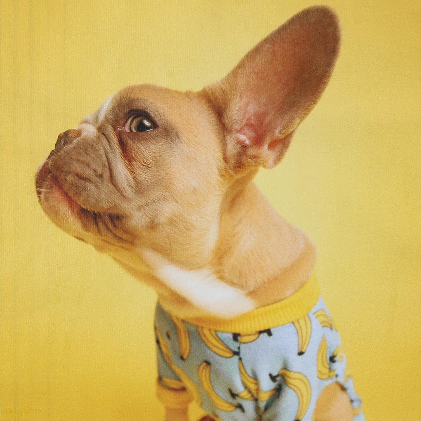 

Новая мода женская толстовка с V-образным вырезом, длинный рукав, воротник, топы, осенние наряды S хаки