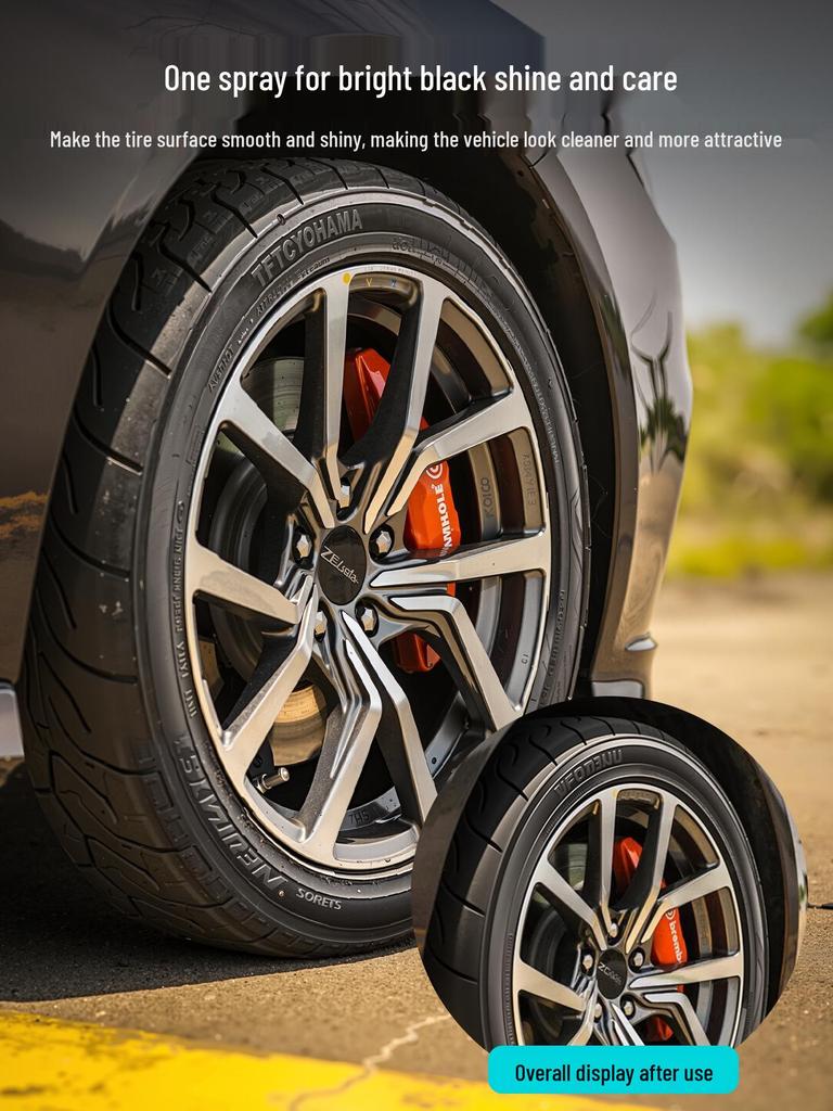 Tass Captain Bike Tire & Body Coating Agent for Road & Mountain Bikes