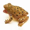 Simulated Frog Model with Lifelike Sound Stress Relief Realistic Toad Squeeze Toy Toddlers Educational Animal Prank Toy Gag Gift