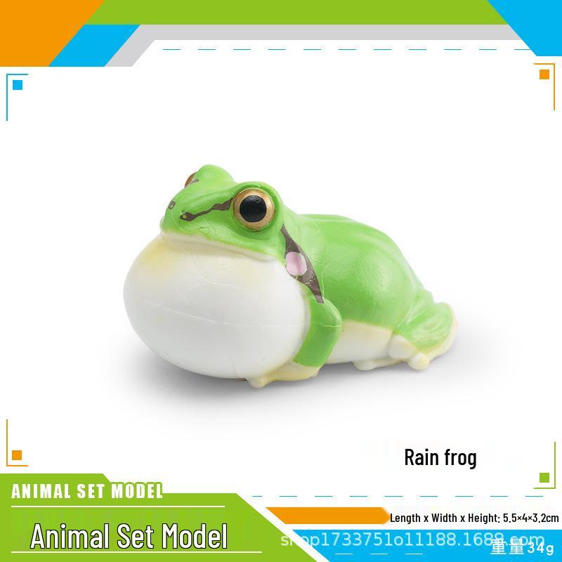 Children's Cognitive Simulation: Wild Animal Models - Rain Frog, Clown Frog, Otter, Seal, Pufferfish, Raccoon, Cat Ornament