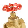 Gate Valve Water 1''