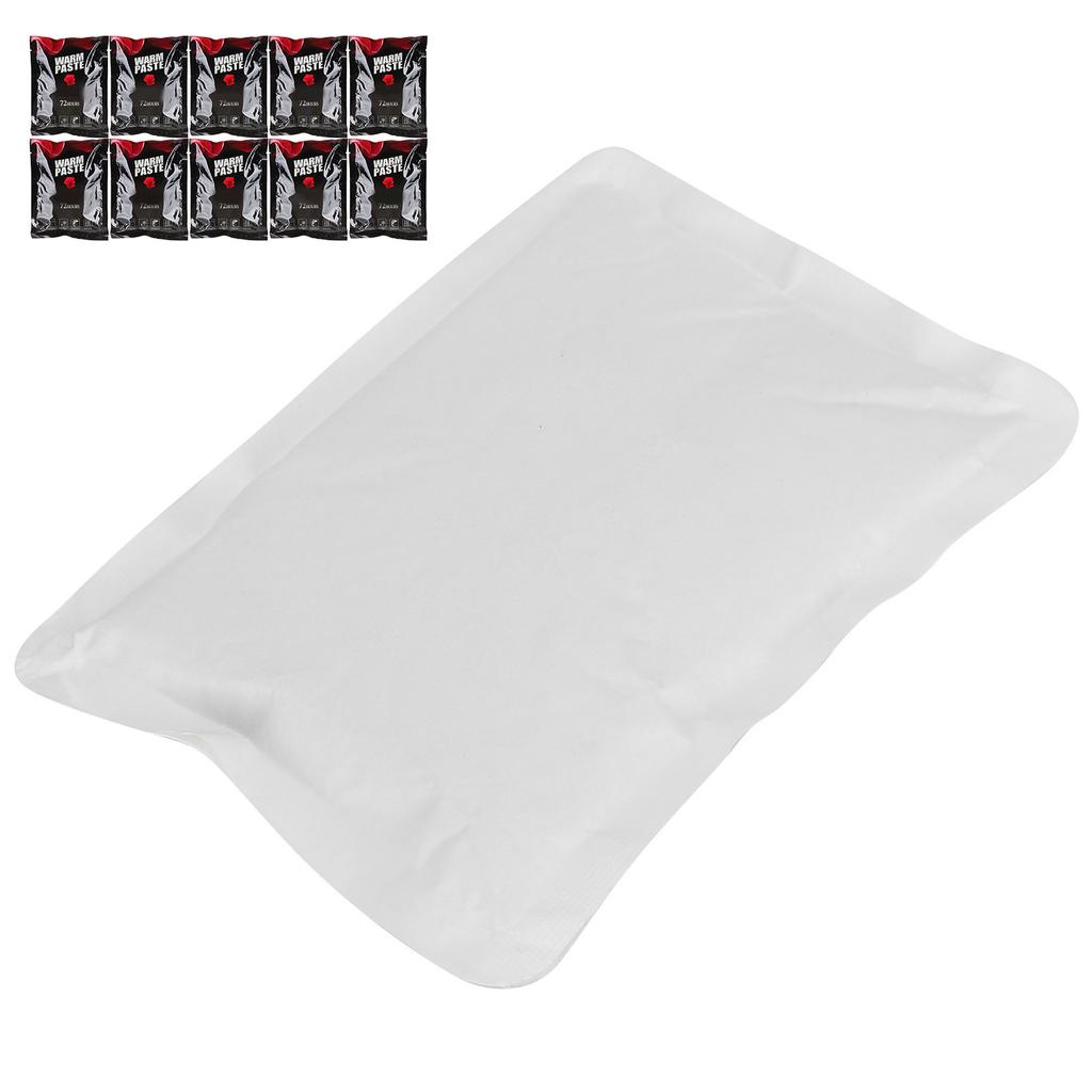 10pcs 72 Hour Heat Pack Warmer for Tortoise Spiders Scorpion Reptiles Insects Shipping