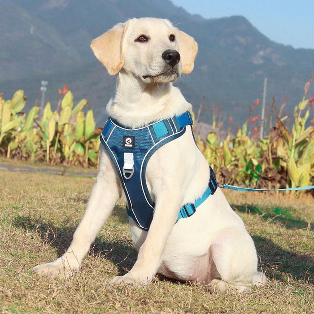 Reflective Dog Chest Strap Lightweight No-Pull Chest Strap Vest Type Dog Harness  Daily Walk
