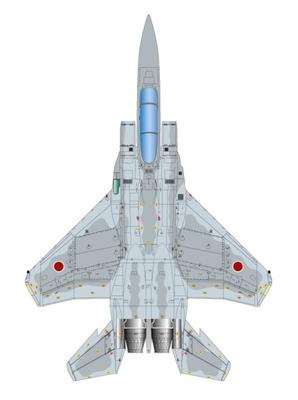 Platts Eagle Joint Training Guardian 201st Squadron Unit 900 Minister of Defense Plastic Model Molding Color 1/72 F-15J Japan-Australia "Bushido 19"