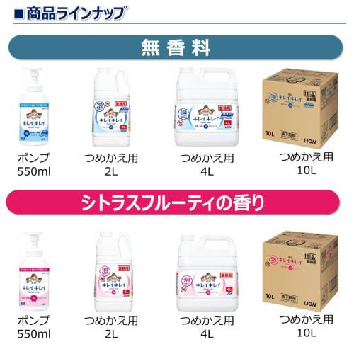 [Large capacity] KireiKirei Medicated Foam Hand Soap Pro Unscented 550mL