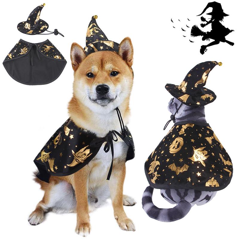 dog wizard costume