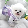 Princess Skirt Puppy Clothes Spring And Autumn Teddy Bichon Pomeranian Schnauzer Small Puppy Pet Autumn And Winter