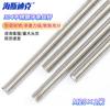 304 Stainless Steel DIN976 Threaded Rod