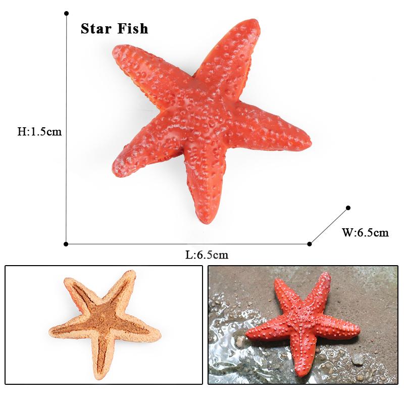 Oenux Ocean Starfish Sea Anemone Coral Jellyfish Squid Shrimp Crab Shark Animals Model Action Figures PVC Miniature Kid Toy Gift