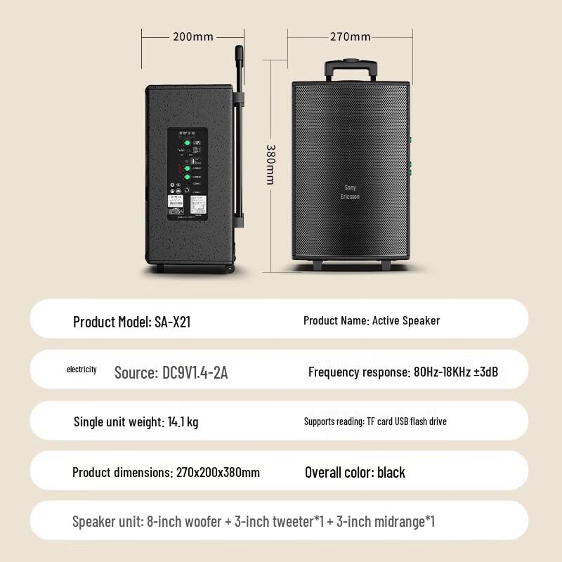 Suoai 8-inch Portable KTV Speaker with Dual Microphones