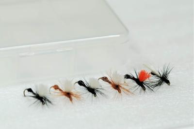Complete Fly Set from Fly Shop SD Selection Ant SP No.12