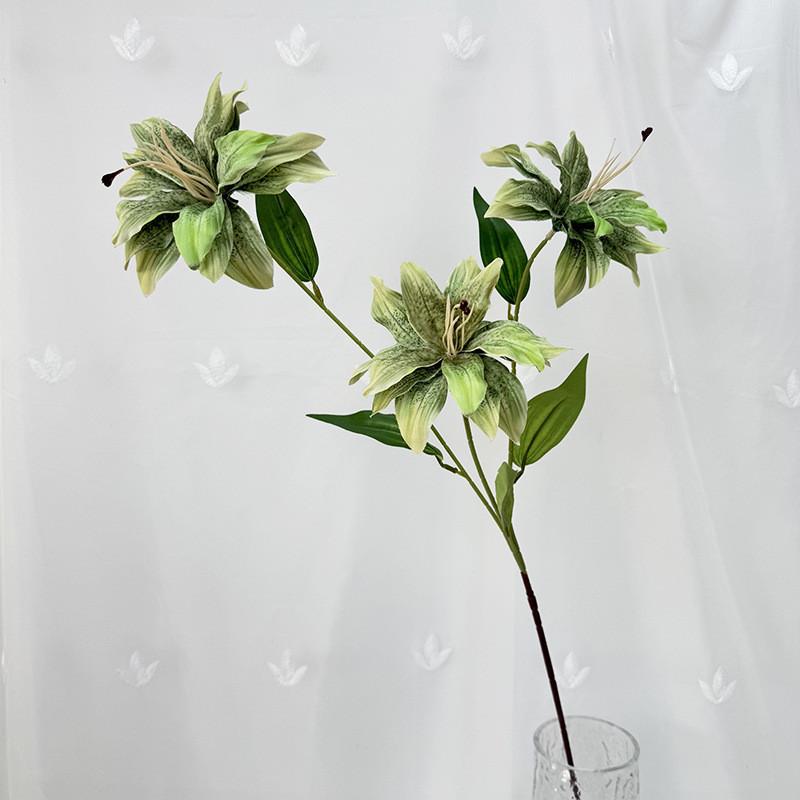 Brownii Artificial Lilium Var Viridulum For Wedding Decor And Props Photography