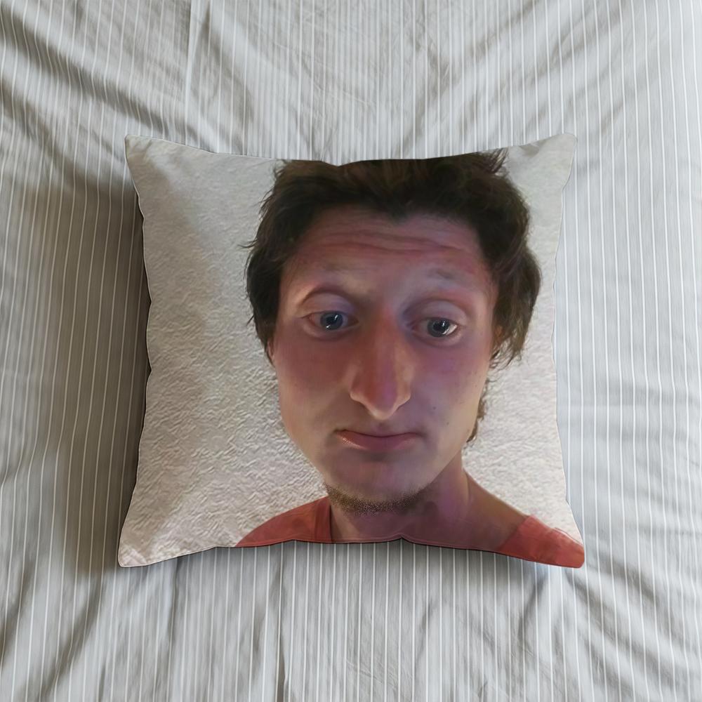 Cushion Cover Soft Case Sofa Living D-Daniel Selfie Room Home Comfortable Office Larson Decor Protective Pillow