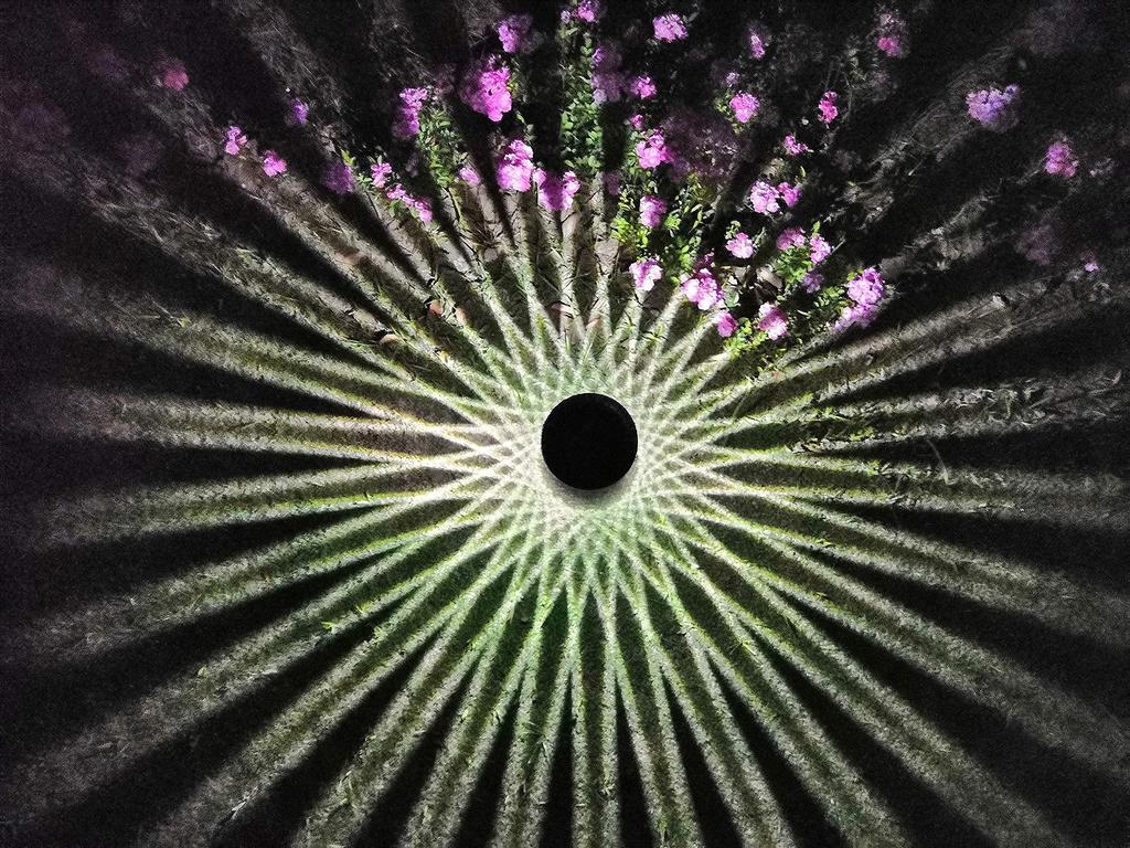 Beleuchtung bis zum nächsten GWSOLAR Beleuchtung Gartenarbeit Außen 50 Automatisch Weg Außen LED Garten GW Solar Langlebig Morgen! [Intelligentes Licht,