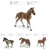 Wild Shire Horse Lipizzaner Pvc Model For Kids Educational Display