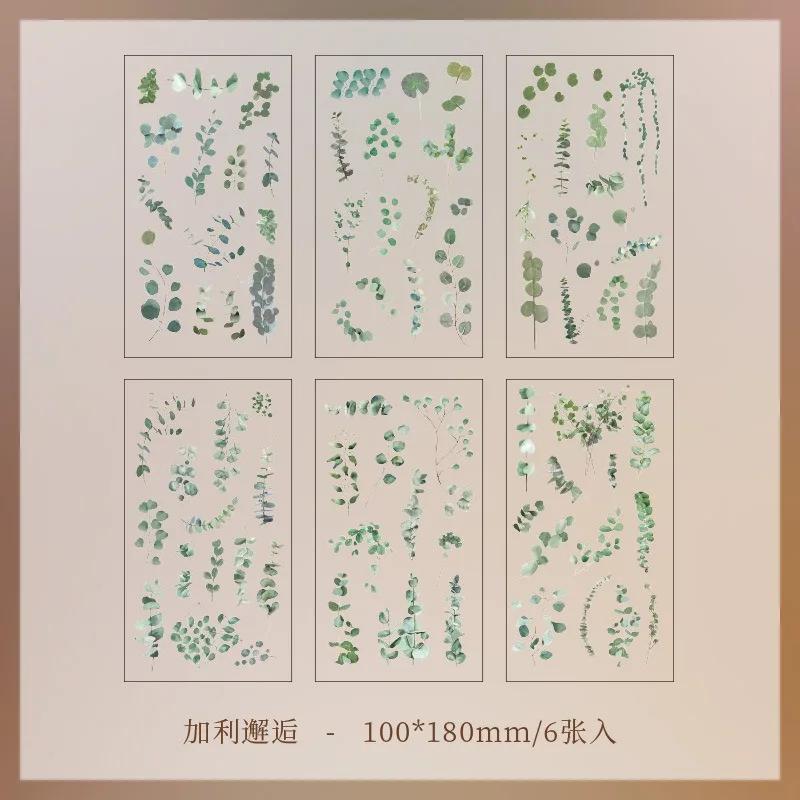 

6pcs/pack Transparent PET Stickers Scrapbooking Materials DIY Junk Journal Collage Floral Leaves Plants Decor Stickers