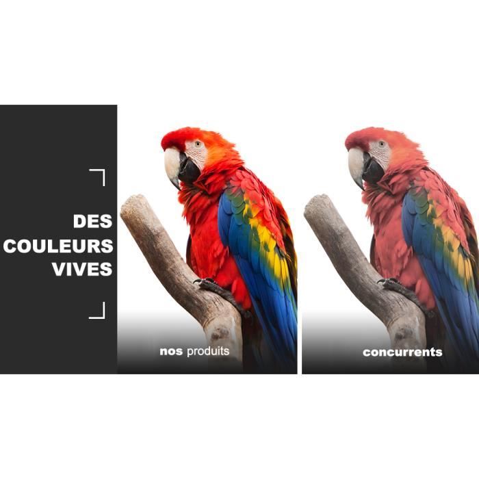 Laser Toner - Brother - TN-243 - 2 Cartridges - 1000 Pages - Compatible Brother Printers