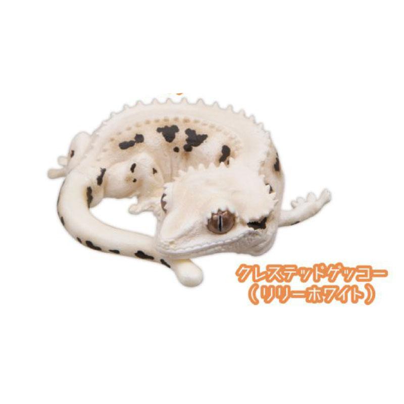 Genuine Gacha Scale Model The Guardian of Sleep Sleeping Reptile Lizards Decorative Item Action Figure Toys