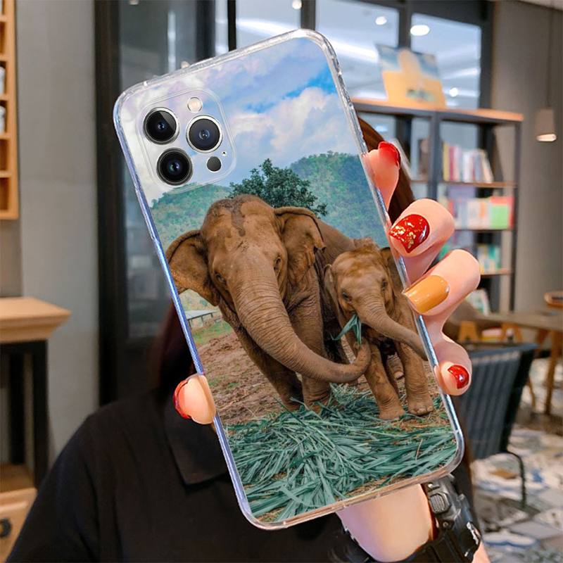 Tier Elefant Handyhülle für iPhone 14 13 12 11 Pro Max XS X XR SE 2020 6 7 8 Plus Mini Transparente Hülle