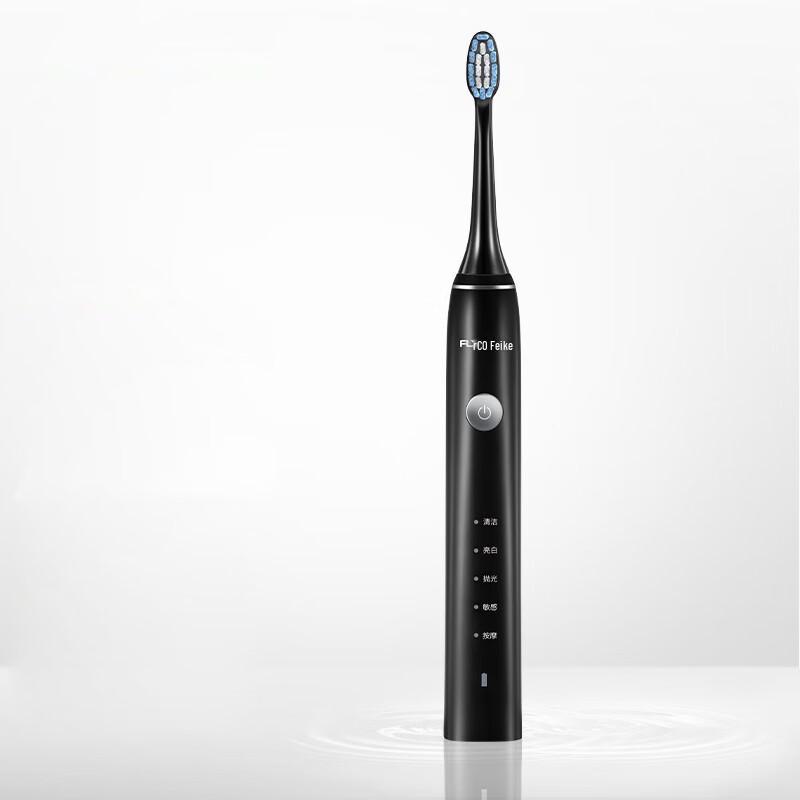FLYCO FT7205 Adult Sonic Electric Toothbrush with 6 Modes CN plug (adapter included)