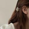 Korean style Small Versatile hairpin Hair accessories Acetic acid Hair Claw Flower grab clip