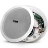 Lingsheng Wireless Bluetooth Amplifier and Ceiling Speaker System CN Plug (adapter Included)