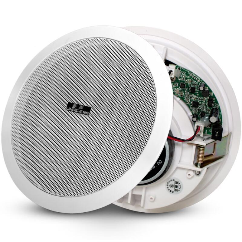 Lingsheng Wireless Bluetooth Amplifier and Ceiling Speaker System CN Plug (adapter Included)