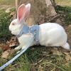 Cat Harness and Leash Set Rabbit Breathable Mesh Kitten Durable Walking Leads Pet Adjustable Vest Pets Supplies
