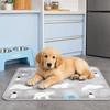Non-Slip Pet Cooling Mat Anti Bite Pet Ice Cushion Floor Mat Cat Sleeping Pad  for Small Dogs