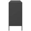 Vidaxl Szafka, Czarna, 100,5X39X79 Cm, Stal